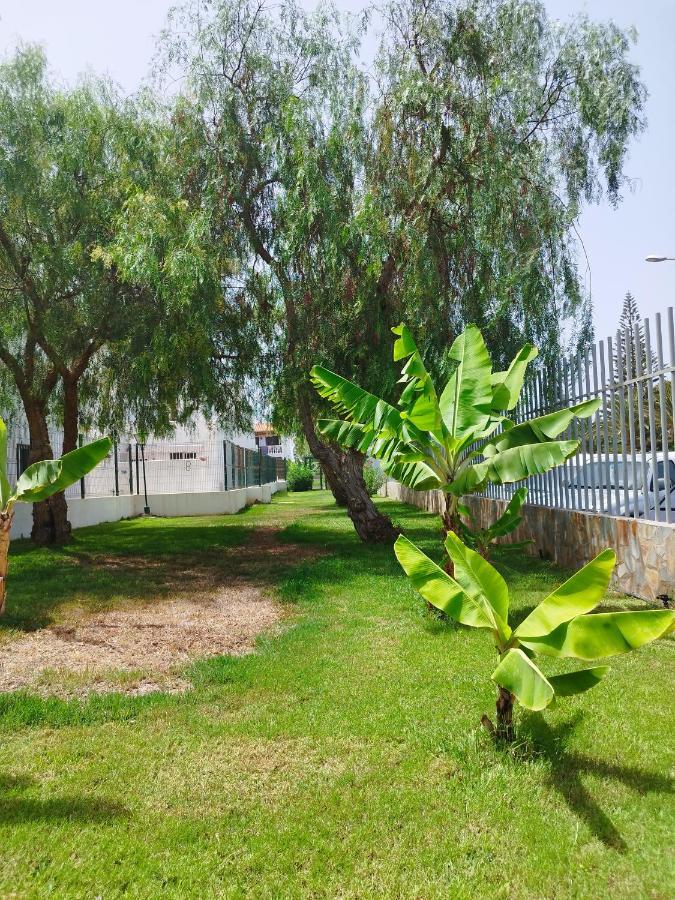 阿罗纳Casa De Maria Luisa公寓 外观 照片