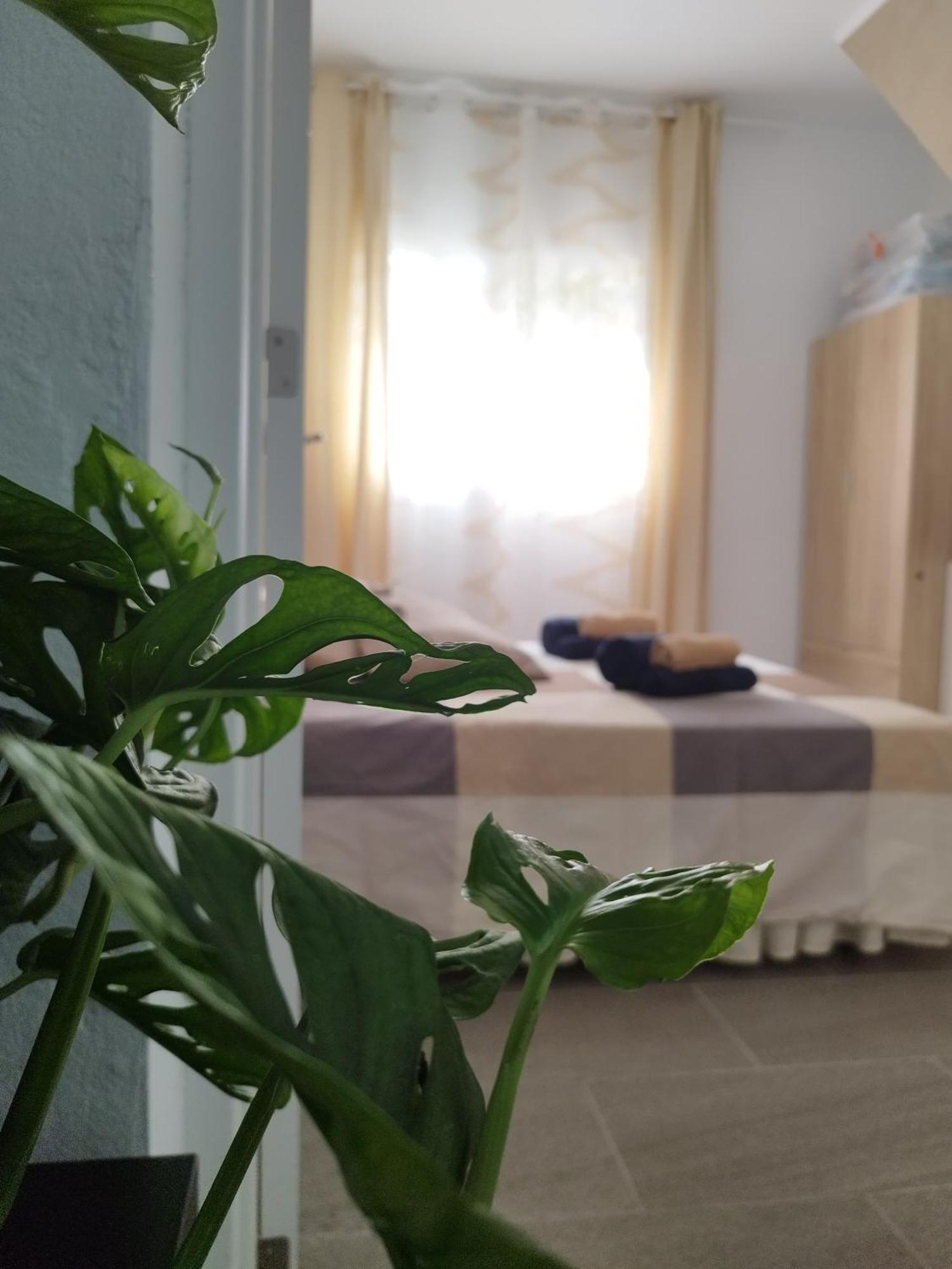 阿罗纳Casa De Maria Luisa公寓 外观 照片